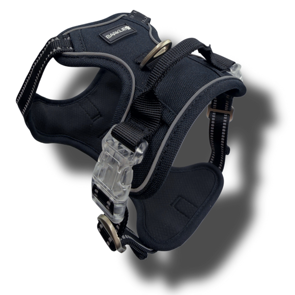 Black Edition Harness