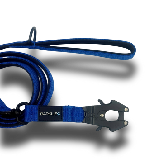 Royal Blue TuffWear Lead