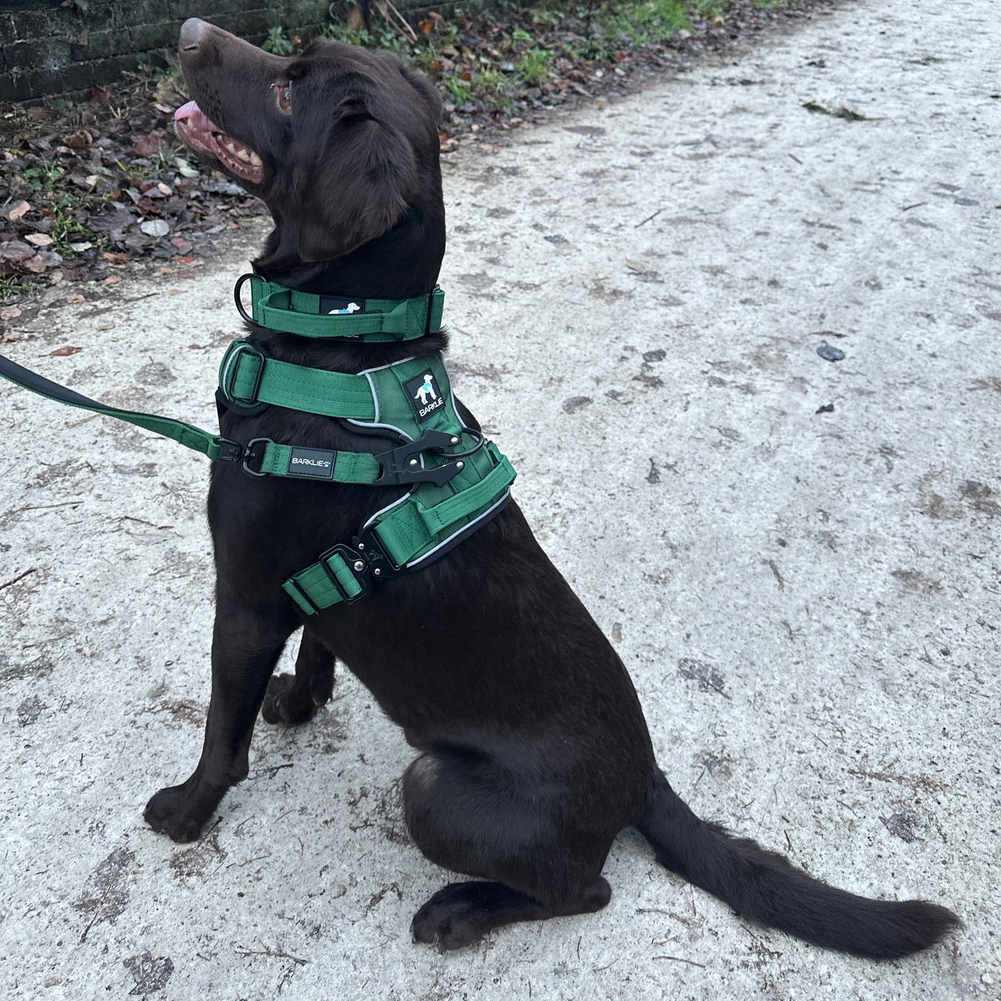 Khaki Green TuffWear Harness