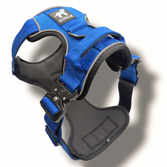 Royal Blue TuffWear Harness
